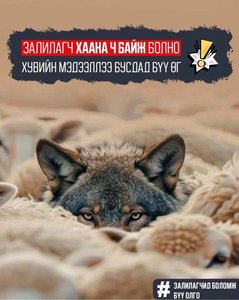 Он гарсаар залилах төрлийн гэмт хэрэг 8827 бүртгэгдээд байна